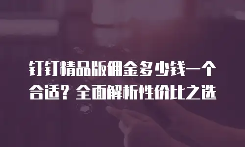 钉钉精品版佣金多少钱一个合适？全面解析性价比之选