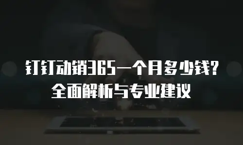 钉钉动销365一个月多少钱？全面解析与专业建议