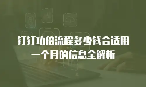 钉钉功倍流程多少钱合适用一个月的信息全解析