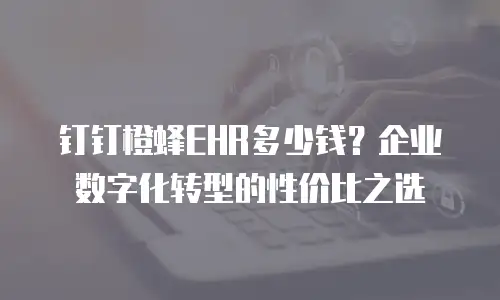 钉钉橙蜂EHR多少钱？企业数字化转型的性价比之选