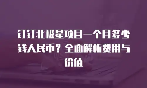钉钉北极星项目一个月多少钱人民币？全面解析费用与价值