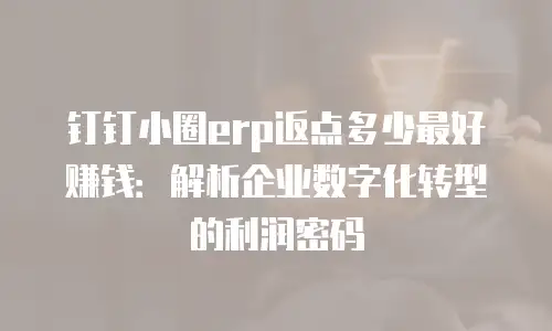 钉钉小圈erp返点多少最好赚钱：解析企业数字化转型的利润密码