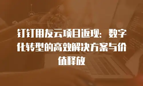 钉钉用友云项目返现：数字化转型的高效解决方案与价值释放