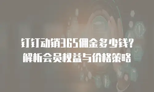 钉钉动销365佣金多少钱？解析会员权益与价格策略