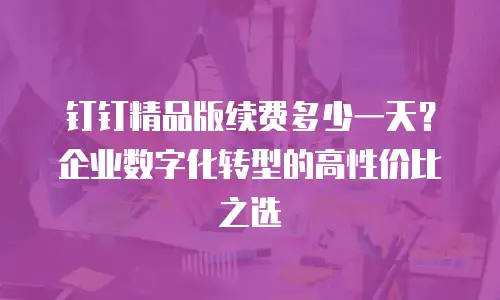 钉钉精品版续费多少一天？企业数字化转型的高性价比之选