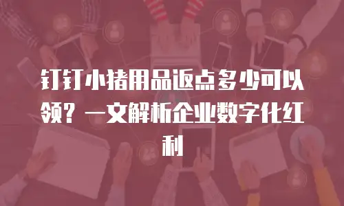 钉钉小猪用品返点多少可以领？一文解析企业数字化红利