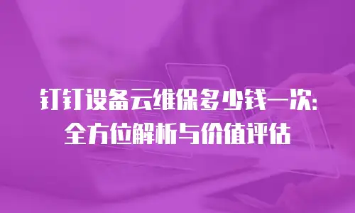 钉钉设备云维保多少钱一次：全方位解析与价值评估