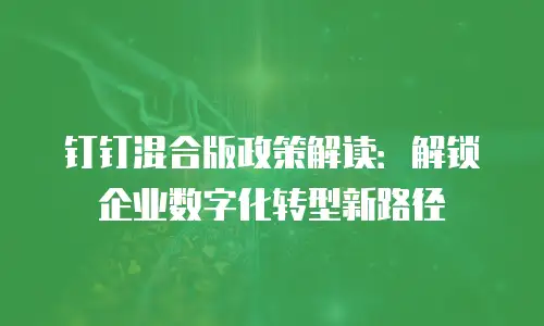 钉钉混合版政策解读：解锁企业数字化转型新路径