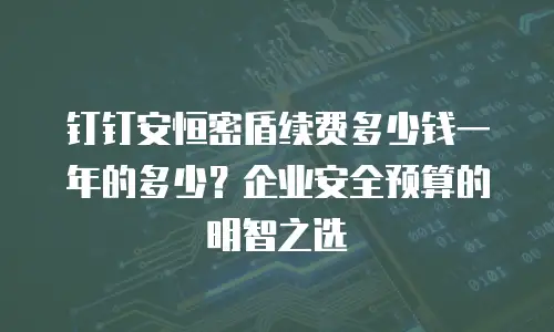 钉钉安恒密盾续费多少钱一年的多少？企业安全预算的明智之选