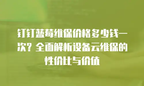 钉钉蓝莓维保价格多少钱一次？全面解析设备云维保的性价比与价值