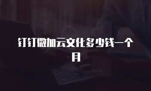 钉钉微加云文化多少钱一个月