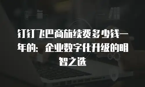 钉钉飞巴商旅续费多少钱一年的：企业数字化升级的明智之选