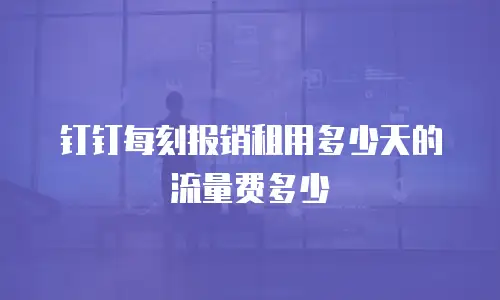 钉钉每刻报销租用多少天的流量费多少