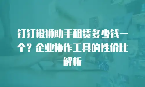 钉钉橙狮助手租赁多少钱一个？企业协作工具的性价比解析