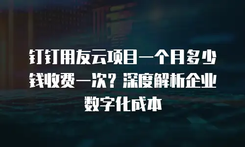 钉钉用友云项目一个月多少钱收费一次？深度解析企业数字化成本