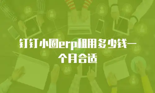 钉钉小圈erp租用多少钱一个月合适