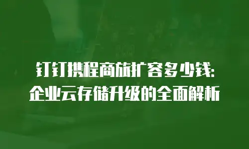 钉钉携程商旅扩容多少钱：企业云存储升级的全面解析