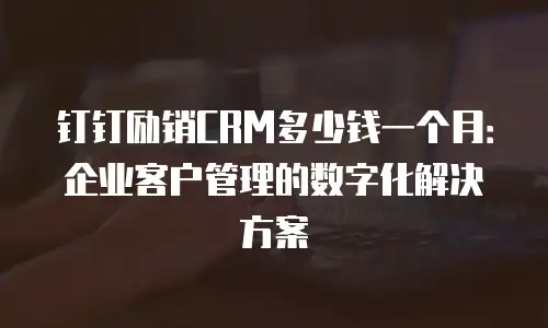 钉钉励销CRM多少钱一个月：企业客户管理的数字化解决方案