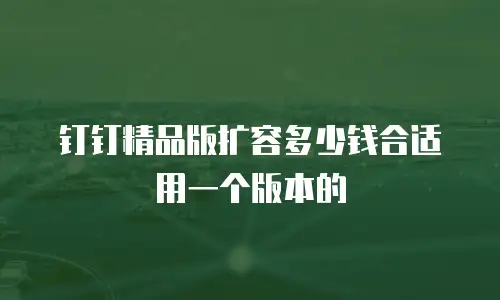 钉钉精品版扩容多少钱合适用一个版本的