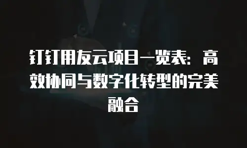 钉钉用友云项目一览表：高效协同与数字化转型的完美融合
