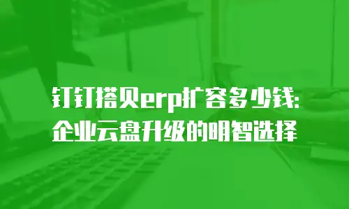 钉钉搭贝erp扩容多少钱：企业云盘升级的明智选择