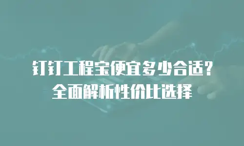钉钉工程宝便宜多少合适？全面解析性价比选择