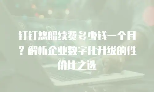 钉钉悠船续费多少钱一个月？解析企业数字化升级的性价比之选
