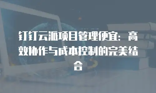 钉钉云派项目管理便宜：高效协作与成本控制的完美结合
