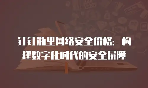 钉钉浙里网络安全价格：构建数字化时代的安全屏障