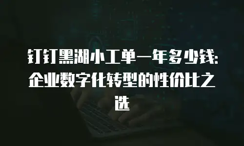 钉钉黑湖小工单一年多少钱：企业数字化转型的性价比之选