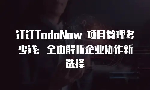 钉钉TodoNow 项目管理多少钱：全面解析企业协作新选择