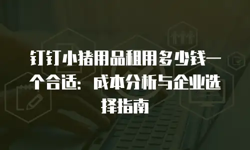 钉钉小猪用品租用多少钱一个合适：成本分析与企业选择指南