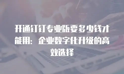 开通钉钉专业版要多少钱才能用：企业数字化升级的高效选择