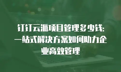 钉钉云派项目管理多少钱：一站式解决方案如何助力企业高效管理