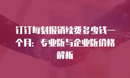 钉钉每刻报销续费多少钱一个月：专业版与企业版价格解析