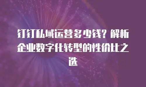 钉钉私域运营多少钱？解析企业数字化转型的性价比之选
