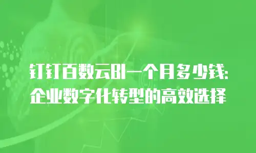 钉钉百数云BI一个月多少钱：企业数字化转型的高效选择