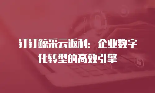 钉钉鲸采云返利：企业数字化转型的高效引擎