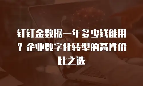 钉钉金数据一年多少钱能用？企业数字化转型的高性价比之选