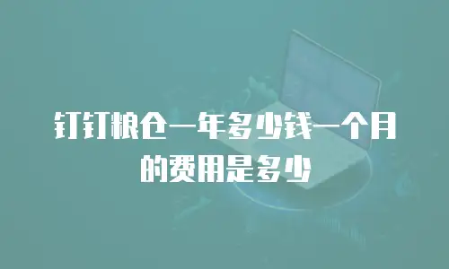 钉钉粮仓一年多少钱一个月的费用是多少