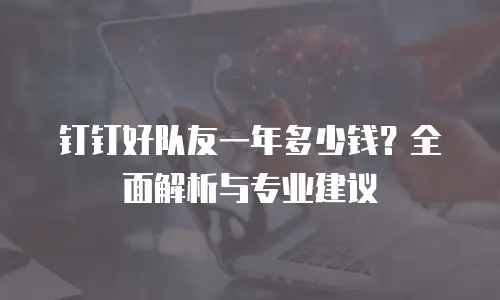 钉钉好队友一年多少钱？全面解析与专业建议