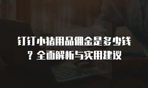 钉钉小猪用品佣金是多少钱？全面解析与实用建议