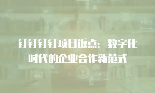 钉钉钉钉项目返点：数字化时代的企业合作新范式