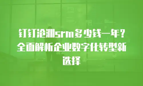 钉钉沧渊srm多少钱一年？全面解析企业数字化转型新选择