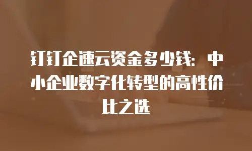 钉钉企速云资金多少钱：中小企业数字化转型的高性价比之选