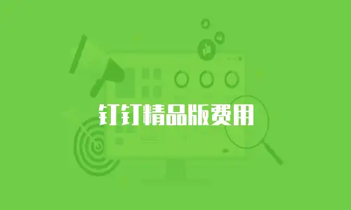 钉钉精品版费用