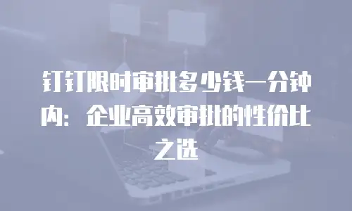 钉钉限时审批多少钱一分钟内：企业高效审批的性价比之选