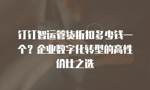 钉钉智运管货折扣多少钱一个？企业数字化转型的高性价比之选