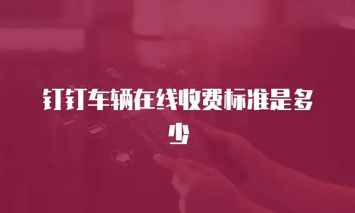 钉钉车辆在线收费标准是多少