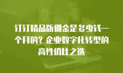 钉钉精品版佣金是多少钱一个月的？企业数字化转型的高性价比之选